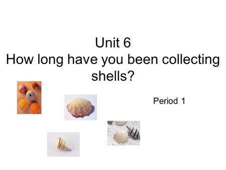Unit 6 How long have you been collecting shells? Period 1.