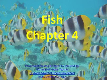 Fish Chapter 4 Powerpoint created & shared by Jamie Miller Fifth & Sixth Grade Teacher Caldwell Adventist Elementary School Idaho Conference, USA Caldwell.
