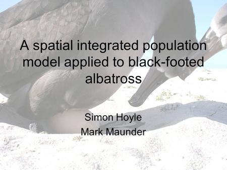 A spatial integrated population model applied to black-footed albatross Simon Hoyle Mark Maunder.