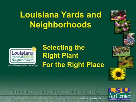 Louisiana Yards and Neighborhoods For the Right Place www.lsuagcenter.com/lyn Selecting the Right Plant.
