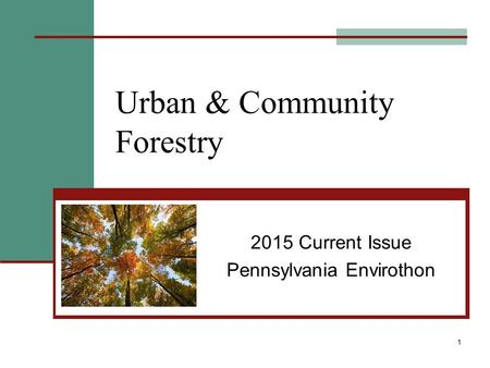 Urban & Community Forestry