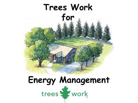 Energy Management Trees Work for. 1. Why do we plant trees? Add Beauty – Spring flowers, fall foliage color, interesting bark, fragrance – Screen unwanted.