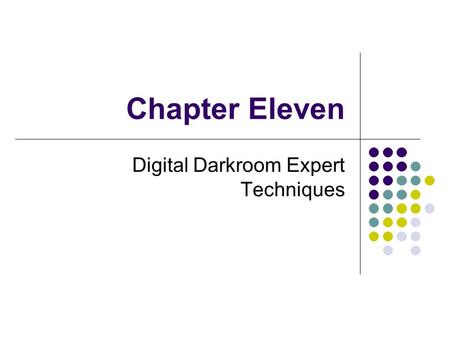 Chapter Eleven Digital Darkroom Expert Techniques.