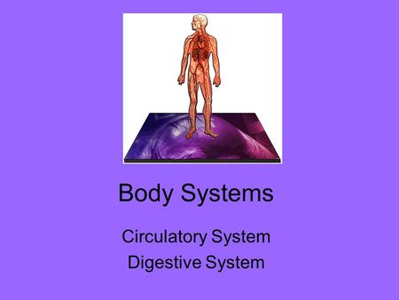 Circulatory System Digestive System