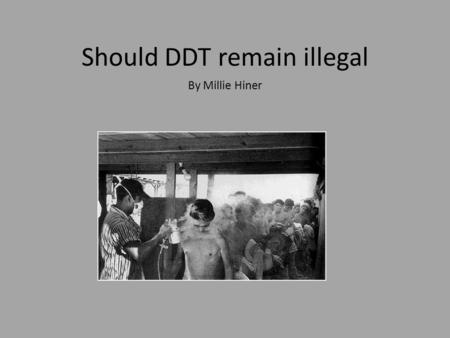 Should DDT remain illegal By Millie Hiner. What is DDT and what was it used for DDT is pesticide that was used all over the world in the 1900s to put.