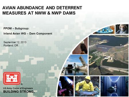 BUILDING STRONG ® AVIAN ABUNDANCE AND DETERRENT MEASURES AT NWW & NWP DAMS US Army Corps of Engineers BUILDING STRONG ® FPOM – Subgroup: Inland Avian WG.