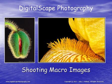 DigitalScape Photography Shooting Macro Images www.DigitalScapePhotography.comCopyright © 2012 – John J. Holland, All Rights Reserved.