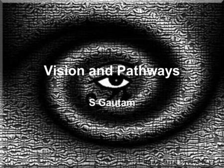 Vision and Pathways S Gautam. Vision Pathways.