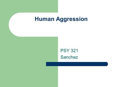 Human Aggression PSY 321 Sanchez.