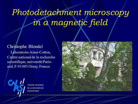 Photodetachment microscopy in a magnetic field Christophe Blondel Laboratoire Aimé-Cotton, Centre national de la recherche scientifique, université Paris-
