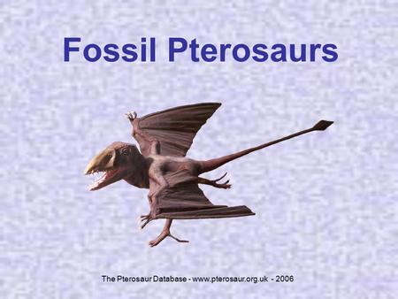 The Pterosaur Database - www.pterosaur.org.uk - 2006 Fossil Pterosaurs.