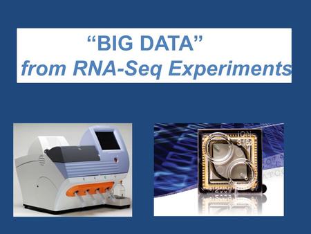 “BIG DATA” from RNA-Seq Experiments. Significance of RNA-Seq Approaches  Reveals which genes are expressed and the levels at which they are expressed;