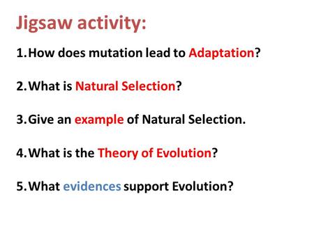 Jigsaw activity: How does mutation lead to Adaptation?