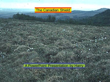 The Canadian Shield A PowerPoint Presentation by Harry.