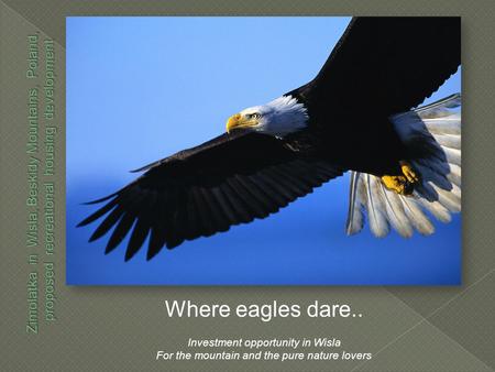 Where eagles dare.. Investment opportunity in Wisla For the mountain and the pure nature lovers.