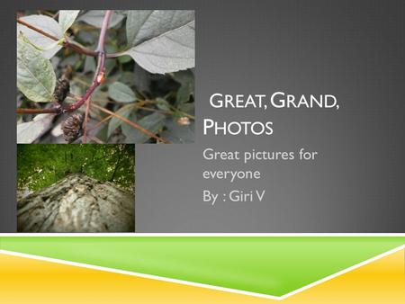 G REAT, G RAND, P HOTOS Great pictures for everyone By : Giri V.
