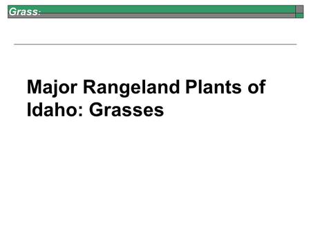Grass : Major Rangeland Plants of Idaho:Grasses. Grass : Bluebunch Wheatgrass Perennial Native Good for Grazers Good for Browsers Jennifer Peterson Seeds.