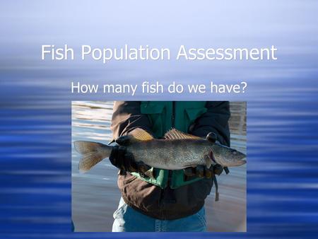 Fish Population Assessment How many fish do we have?