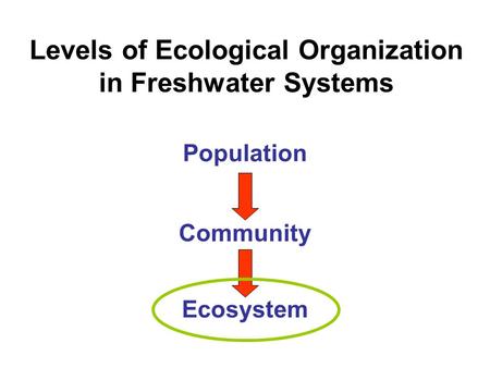 Levels of Ecological Organization in Freshwater Systems Population Community Ecosystem.