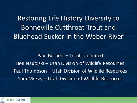Restoring Life History Diversity to Bonneville Cutthroat Trout and Bluehead Sucker in the Weber River Paul Burnett – Trout Unlimited Ben Nadolski – Utah.