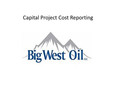 Capital Project Cost Reporting. Project Goals Documentation of project approval Approval path based on reporting structure and individual approval limits.