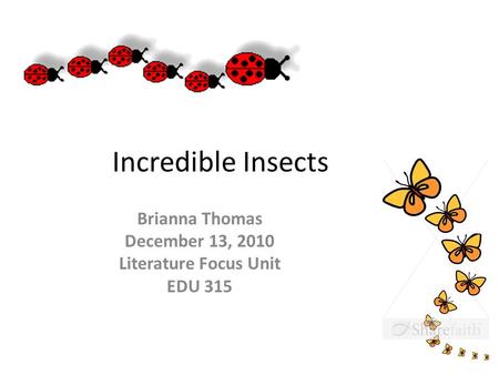 Incredible Insects Brianna Thomas December 13, 2010 Literature Focus Unit EDU 315.