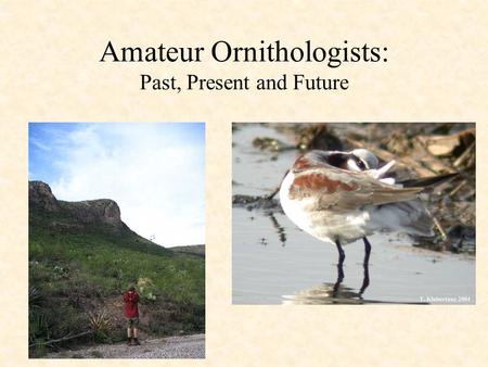 Amateur Ornithologists: Past, Present and Future.