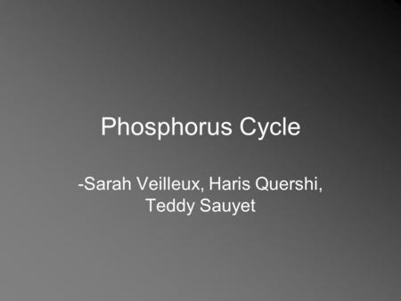 Phosphorus Cycle -Sarah Veilleux, Haris Quershi, Teddy Sauyet.
