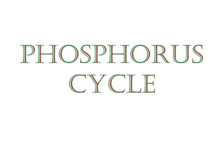 The global circulation of phosphorus from the environment to living organisms and back to the environment  KkC2JpjaGc&feature=related.