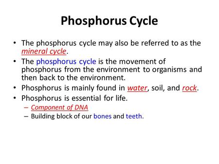 Phosphorus Cycle The phosphorus cycle may also be referred to as the mineral cycle. The phosphorus cycle is the movement of phosphorus from the environment.