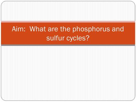 Aim: What are the phosphorus and sulfur cycles?