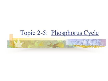 Topic 2-5: Phosphorus Cycle. The Phosphorus Cycle Phosphorus: cell membranes ATP - Adenosine tri PHOSPHATE bones - calcium phosphate Two methods of P.