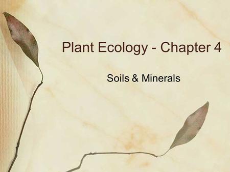 Plant Ecology - Chapter 4 Soils & Minerals. Soil Structure & Texture Soil structure - physical arrangement of soil particles into aggregates Controls.