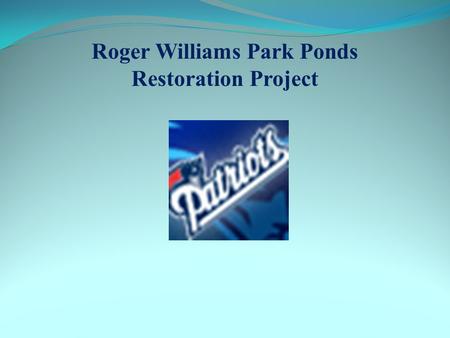 Roger Williams Park Ponds Restoration Project. Project Update Concept Plans Developed for Structural and Non- Structural Best Management Practices Draft.