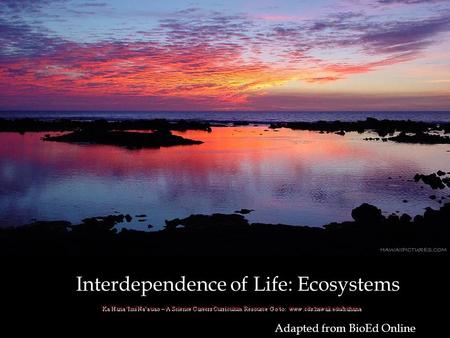 Adapted from BioEd Online Interdependence of Life: Ecosystems.