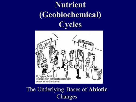 Nutrient (Geobiochemical) Cycles The Underlying Bases of Abiotic Changes.