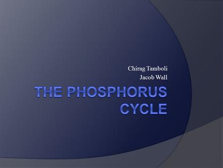 Chirag Tamboli Jacob Wall. What is Phosphorous and Why do We need it  Phosphorus is a chemical element with symbol P and atomic number 15.  It is an.