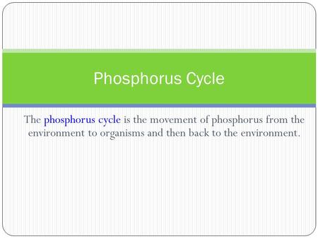 Phosphorus Cycle The phosphorus cycle is the movement of phosphorus from the environment to organisms and then back to the environment.