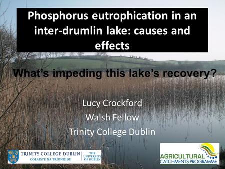 Phosphorus eutrophication in an inter-drumlin lake: causes and effects Lucy Crockford Walsh Fellow Trinity College Dublin What’s impeding this lake’s recovery?