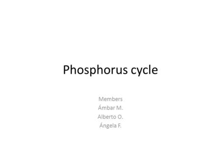 Phosphorus cycle Members Ámbar M. Alberto O. Ángela F.