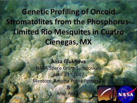 Genetic Profiling of Oncoid Stromatolites from the Phosphorus- Limited Rio Mesquites in Cuatro Cienegas, MX Alisa Glukhova NASA Space Grant Symposium April.