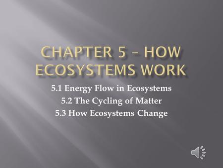 Chapter 5 – How Ecosystems work