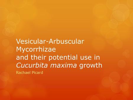 Vesicular-Arbuscular Mycorrhizae and their potential use in Cucurbita maxima growth Rachael Picard.