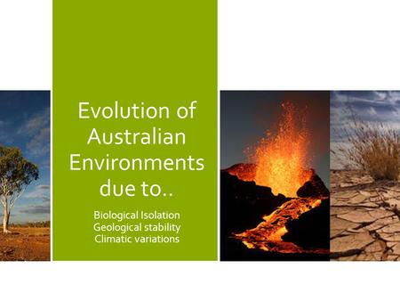 Evolution of Australian Environments due to.. Biological Isolation Geological stability Climatic variations.