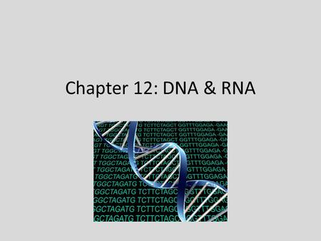 Chapter 12: DNA & RNA. Section 12.1 – Structure of DNA DNA – Deoxyribonucleic Acid; traits are determined by your genes, genes code for proteins, and.