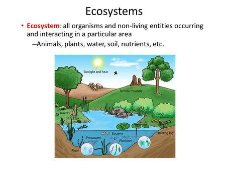 Ecosystems Ecosystem: all organisms and non-living entities occurring and interacting in a particular area Animals, plants, water, soil, nutrients, etc.