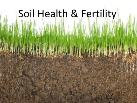 Soil Health & Fertility