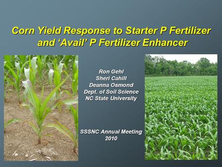 Corn Yield Response to Starter P Fertilizer and ‘Avail’ P Fertilizer Enhancer Ron Gehl Sheri Cahill Deanna Osmond Dept. of Soil Science NC State University.