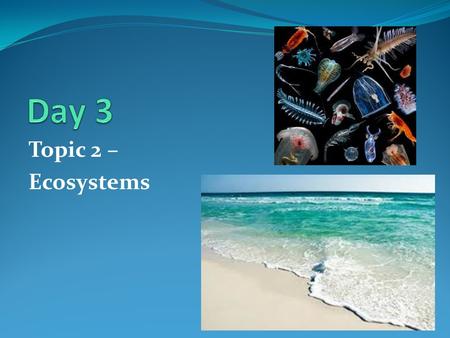 Day 3 Topic 2 – Ecosystems.