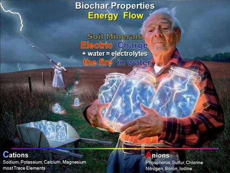 PHOTO: Bob Cirino, University of Delaware into chlorophyllcarbohydratesphotosynthesis + water = electrolytes Nitrogen, Boron, Iodine Phosphorus, Sulfur,
